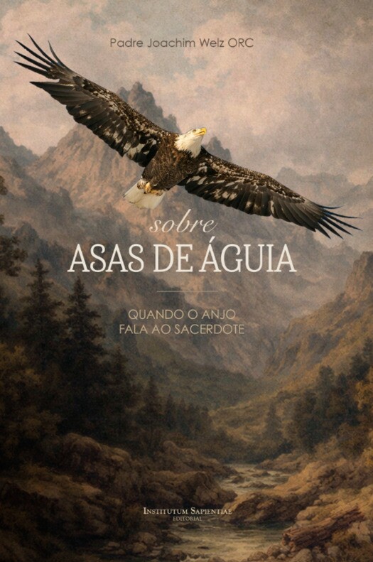 Capa de Sobre Asas de Águia